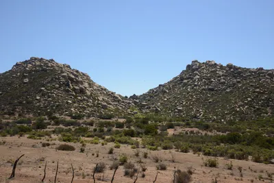 ENSC00028.jpg